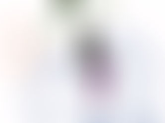 Fish Wishes and Fish Dreams: The Story of Old Skool Joe