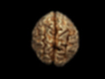 AdobeStock_290836684.jpeg