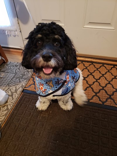 Paws and Play Dog Boarding