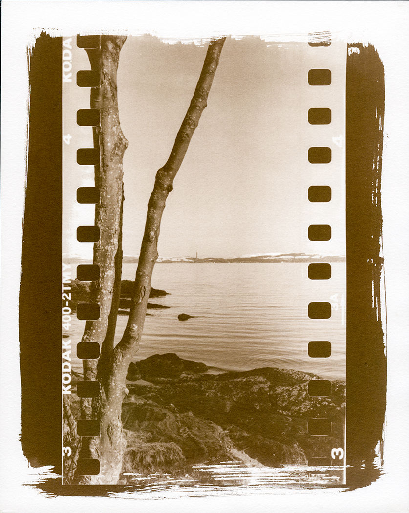 Saltprintdigneg002small