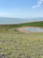 ... es reichte nicht, Zwischenlandung