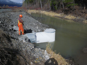 Recent Work Beaver Proof Add On