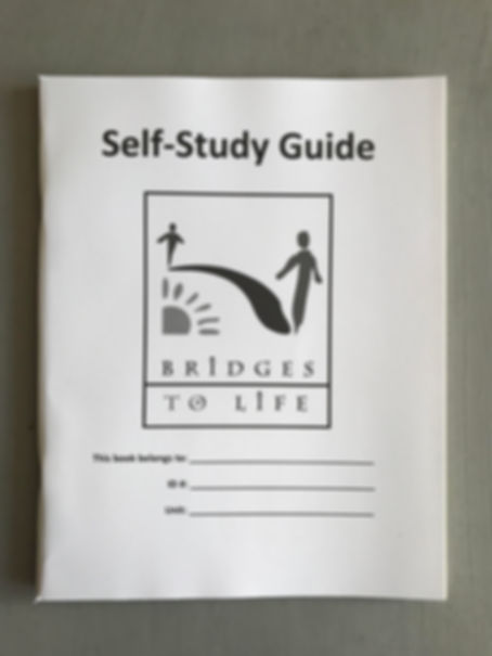 BTL Self-Study Guide - used with Restoring Peace for individual study