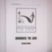 BTL Study Guide - used with Restoring Peace for group study