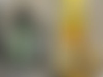 Exciting News for Pet Owners at Limassol AGORA!