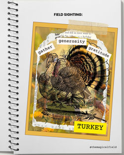 TURKEY WISDOM