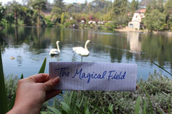 Within life’s greater rhythm,