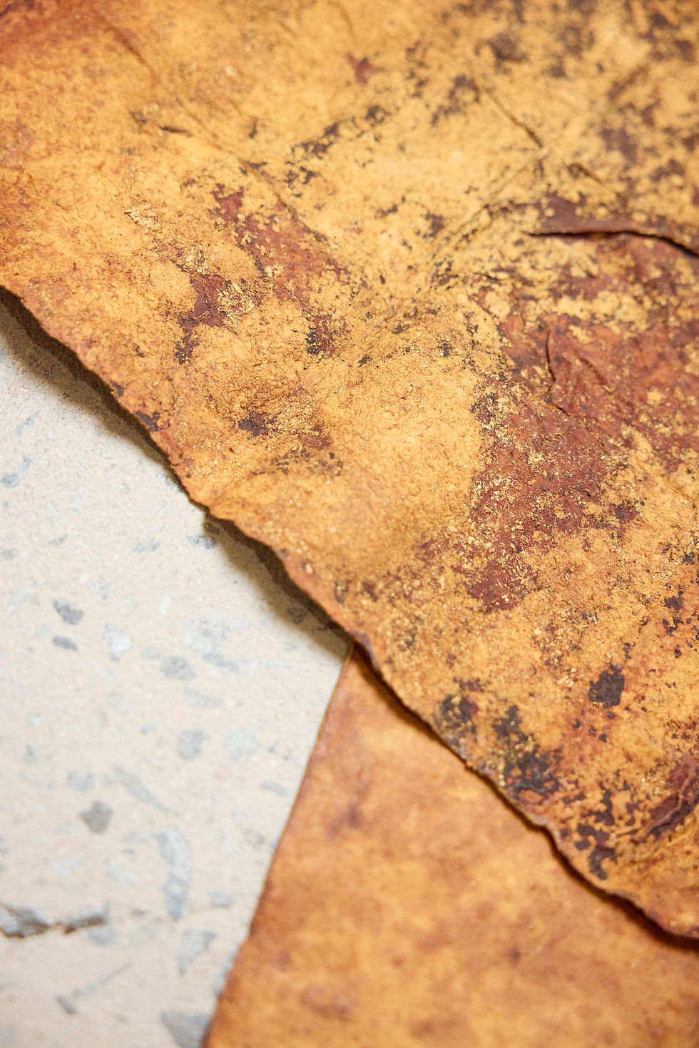 Close-up of natural mycelium biomaterial texture with warm organic surface variation