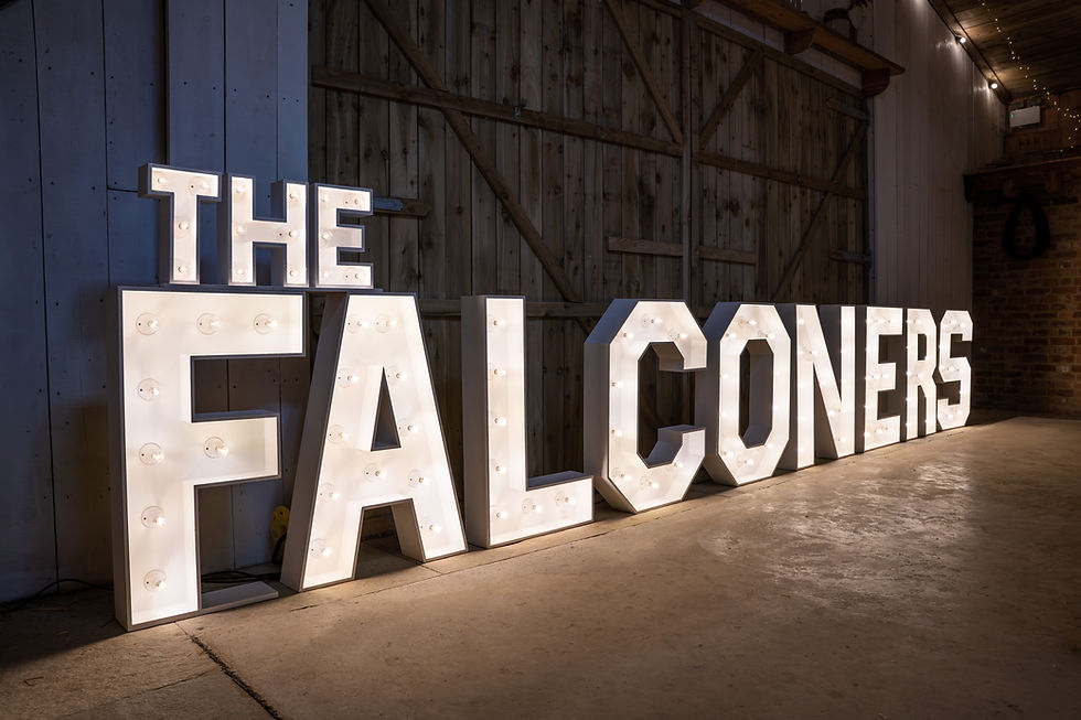 Wedding light up letters of the couples surname