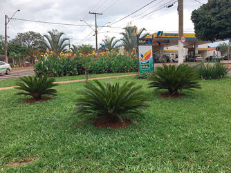 População elogia manutenção de rotatória feita por empresário
