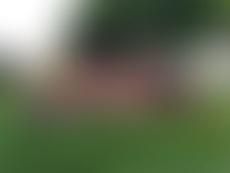 Ação recolhe mais de 500 litros 
de leite para Casa André Luiz