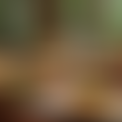 Discover Yummy Thai Food in Malvern at Nakorn Thai Restaurant and Bar