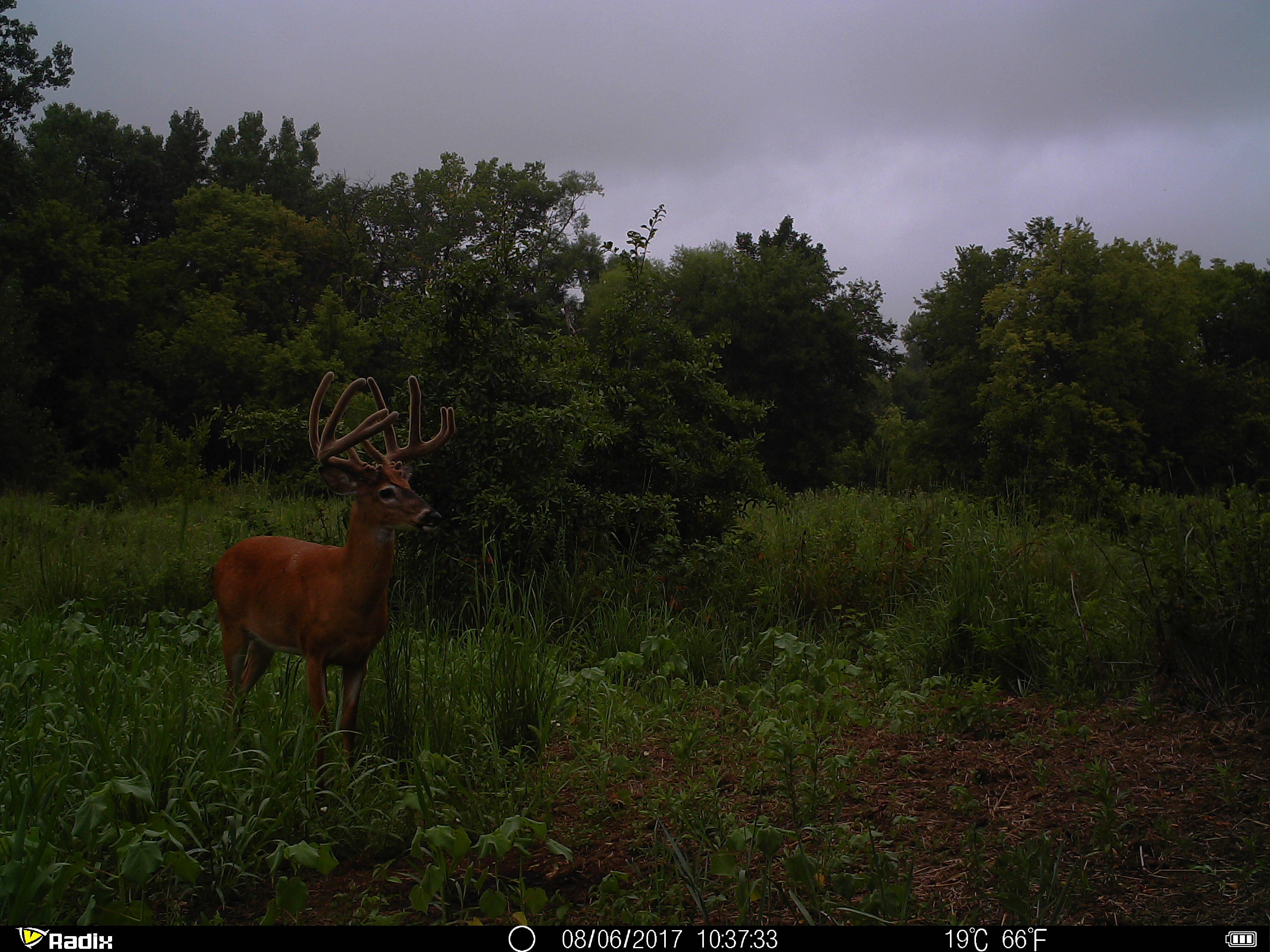 Soe Hunts Iowa - saib7ha