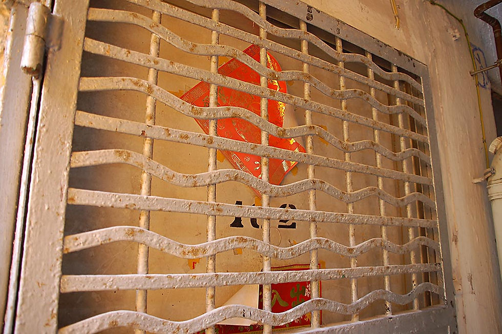 DSC_2012_1024.jpg