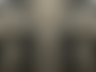 The Two Observers 1.19.26