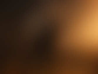 Removing the Wheel Gives Access to the Will