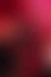 CD Präsentation, Schlagermusik, Schlagersänger TUKO, Gerhard Tukovics