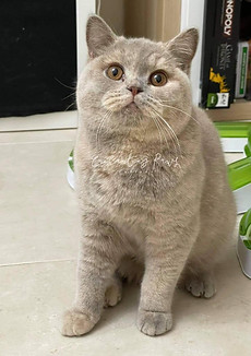 WhatsApp Image 2021-08-14 at 7.30.16 PM.jpeg