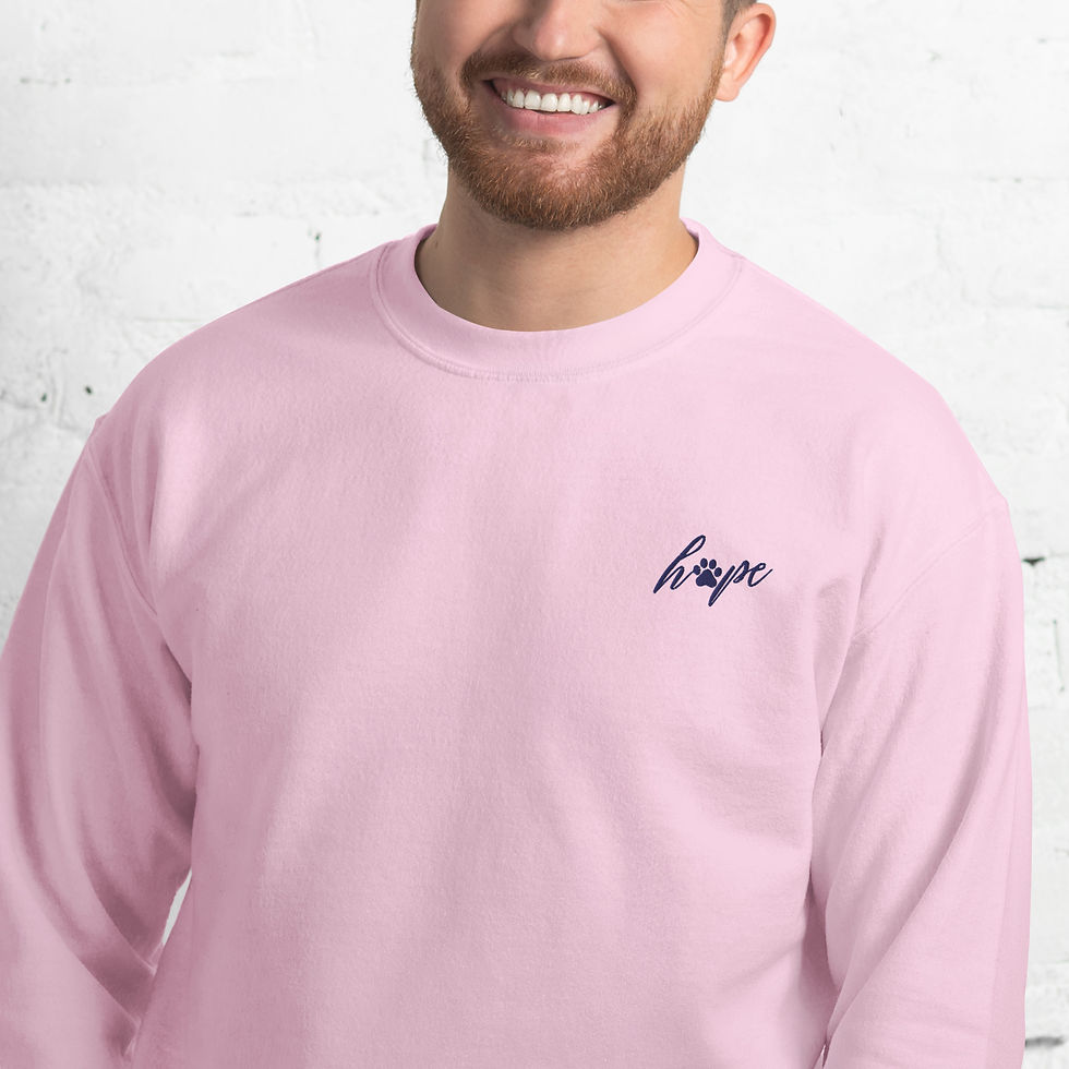 Thumbnail: Hope Embroidered Sweatshirt