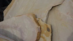 Blonde Flagstone 2