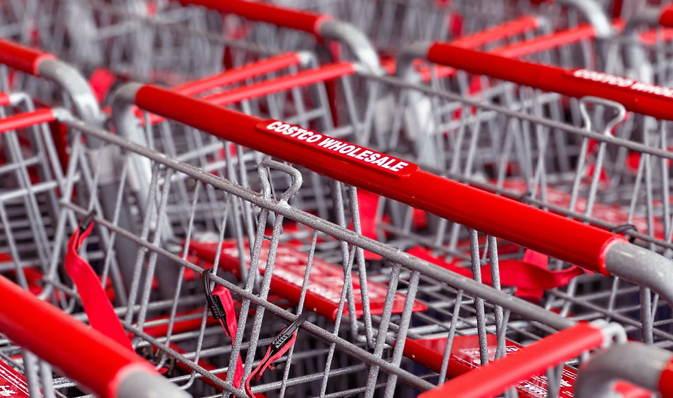 Costco shopping carts in their queue to indicate stress from sensory overload
