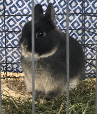 Screen Shot 2024-03-24 at 5.43.12 PM.png