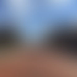 My Year in the Wolverine State: Michigan Memories