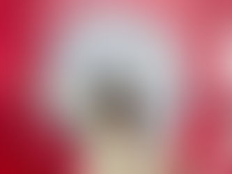 Alma Mater and La Dolce Vita: A Perfect Blend