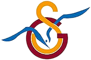 Galatasaray Su Suporları