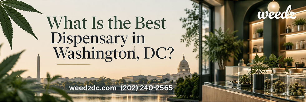 What Is the Best Dispensary in Washington, DC?