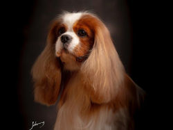 PHOTO-2025-05-09-10-49-15_edited