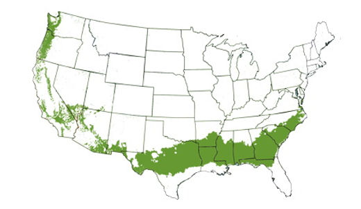 Zone 8.jpg