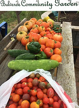 Bulverde Community Garden3.jpg