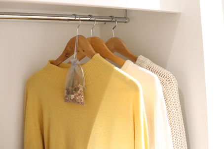 3 Ways To Get Rid Of Clothes Moths