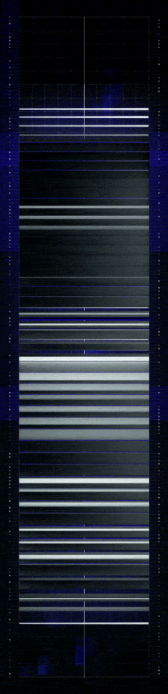 3.gif
