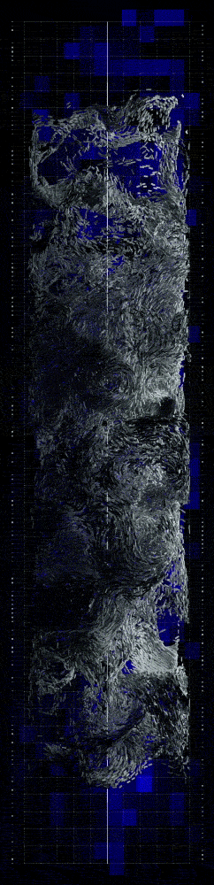 5.gif