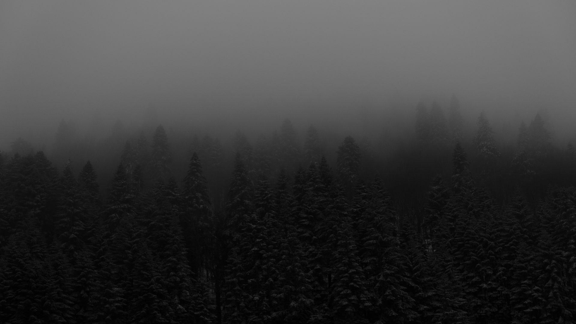 DSCF7126.jpg