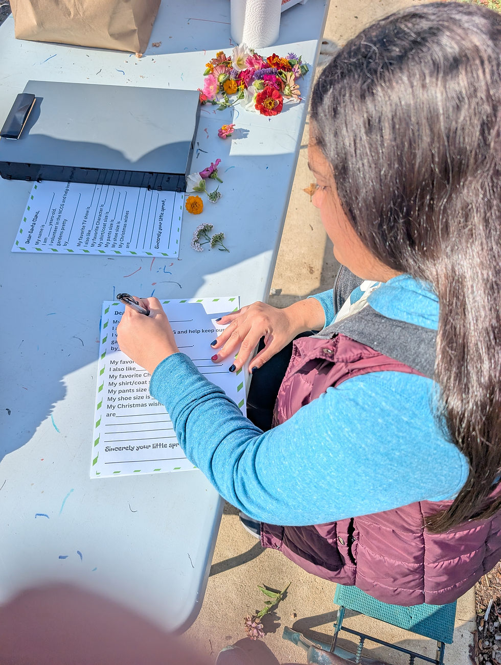 PXL_20251108_155946110