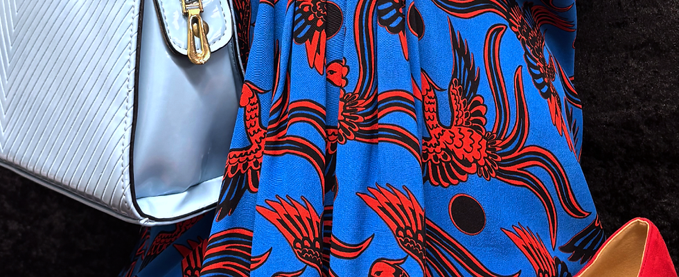 A blue dress with red birds, a red heel and a baby blue handbag.