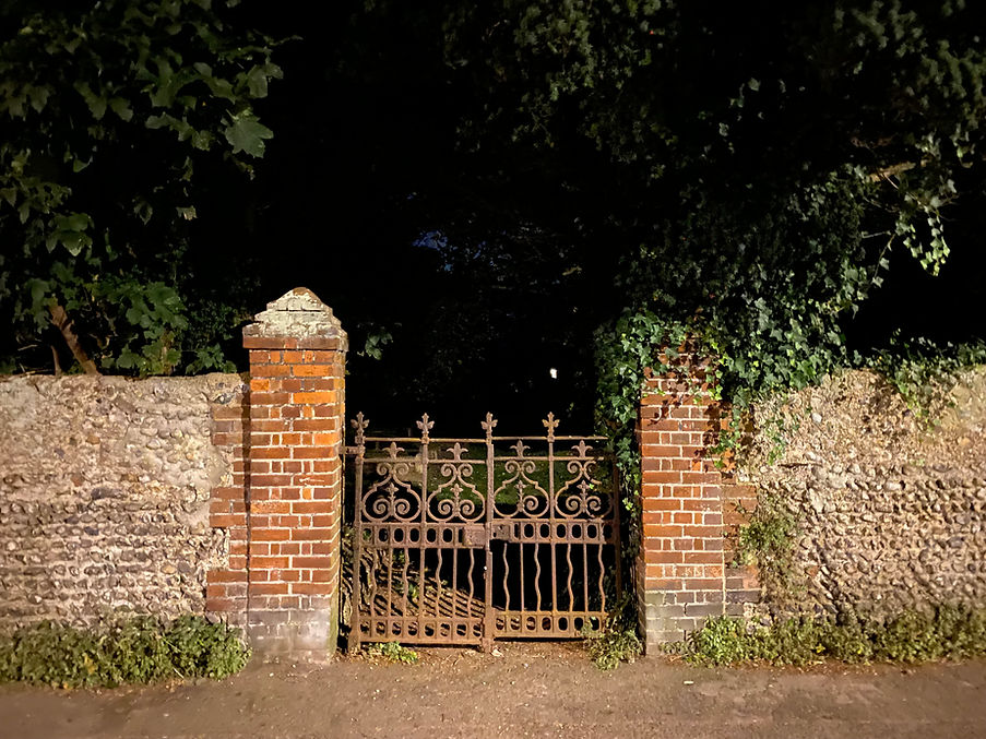 IMG_7667.jpeg