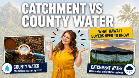 Catchment vs County Water in Hawaiʻi: A Buyer's Guide