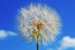 1556253_10202682849091503_4175657586281378102_o