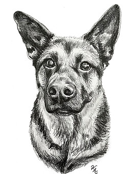 Dog Pencil.jpg