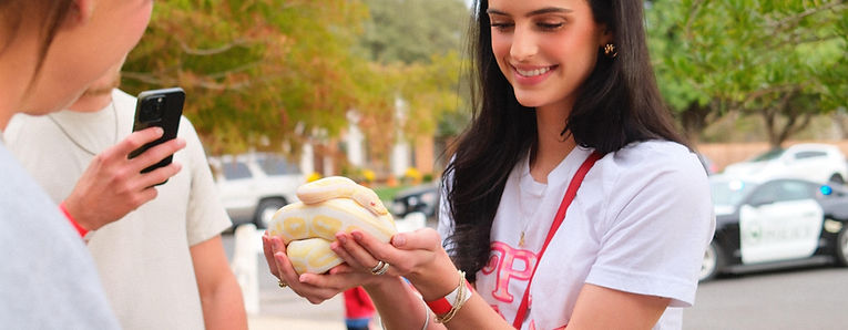PIPHI SNAKE_edited_edited_edited.jpg