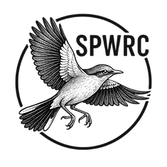 Untitled design (2)_edited.png