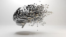 A theory of knowledge atrophy