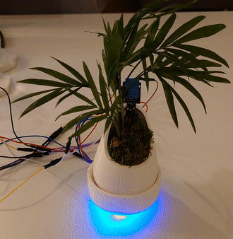 base-plant LED switch off.gif