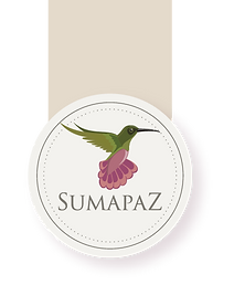 logo_Mesa de trabajo 1 copia 121.png