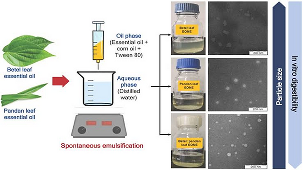 Figure 1. Unlocking The Potential Sodium Alginate-Based Edible Coating Containing Nanoemulsions