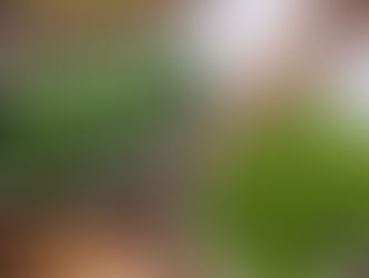 Contra acne e espinhas